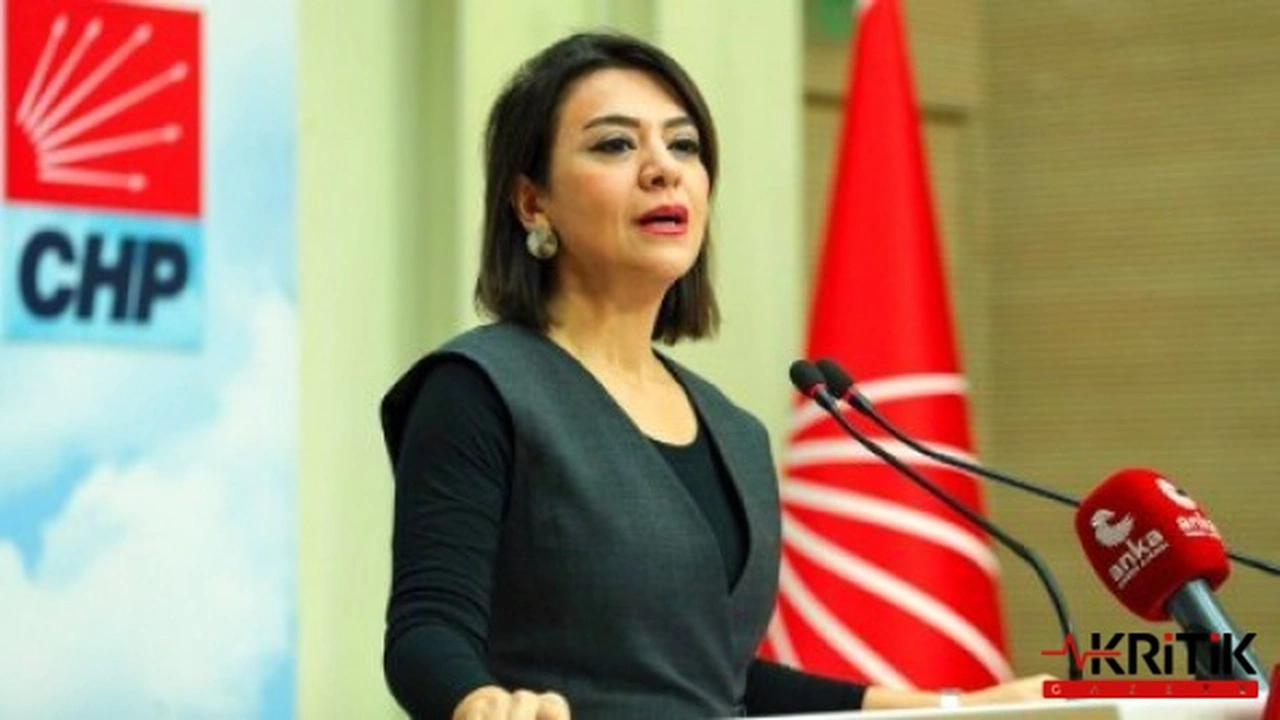 CHP GENEL BAŞKAN YARDIMCISI GAMZE TAŞCIER:SOSYAL GÜVENLİK SİSTEMİ İLE EMEKLİYİ SADAKAYA MAHKÛM ETTİLER