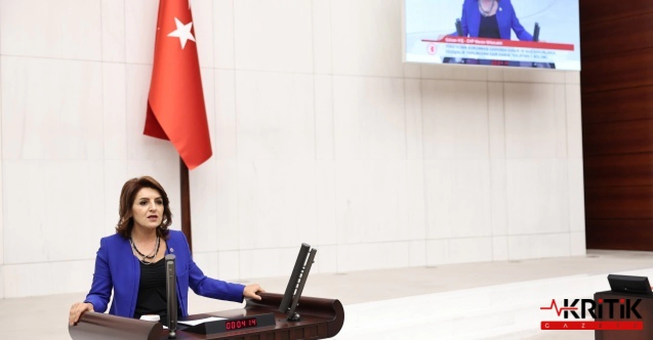 CHP'li Kış:Sağlık Ranta Teslim Edildi! Sağlık Bakanı Derhal İstifa Etmelidir!