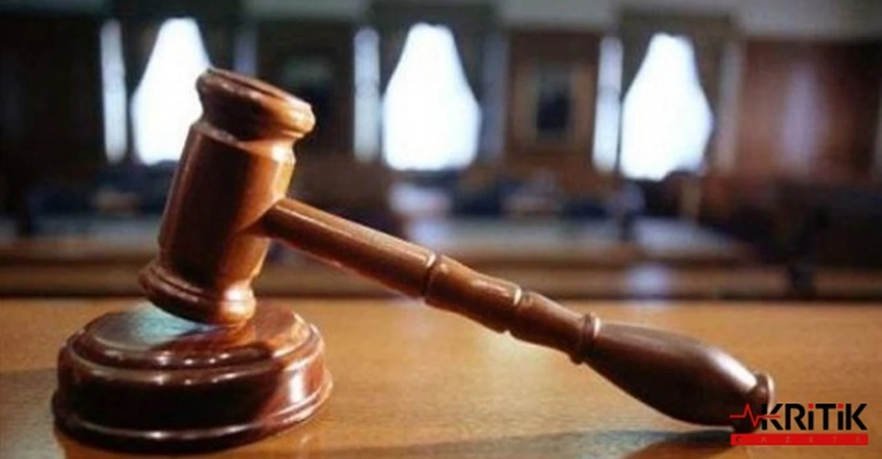 Yavru köpekleri demir sopa ile öldüren şahıs tahliye edildi!