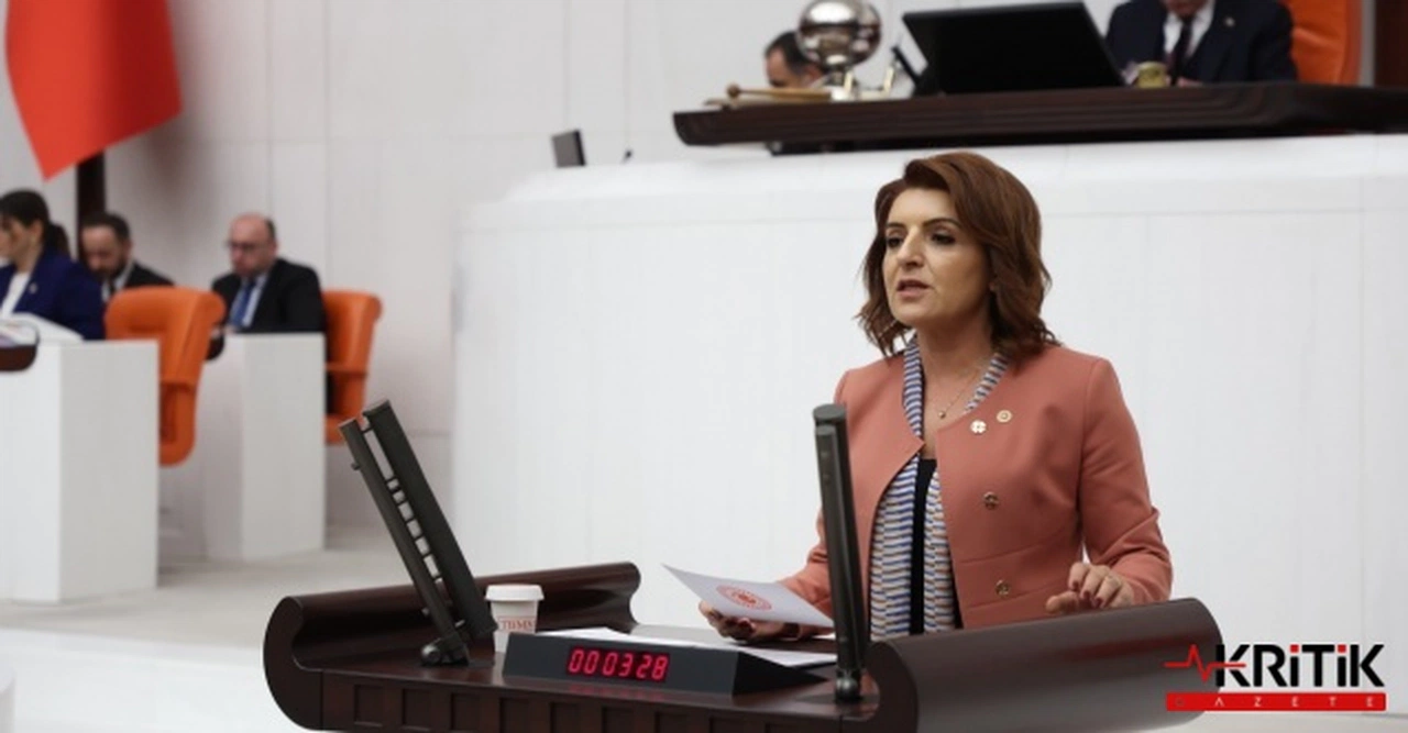 CHP'li Gülcan Kış'tan iktidara:Mersin’in Taleplerine Kulak Verin!