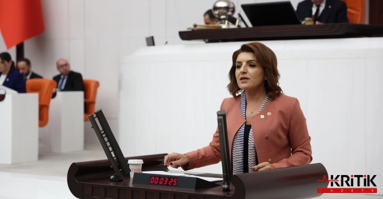 CHP'li Kış'tan kademeli emeklilik çıkışı:Emeklilikte Adalet Sağlanmalı