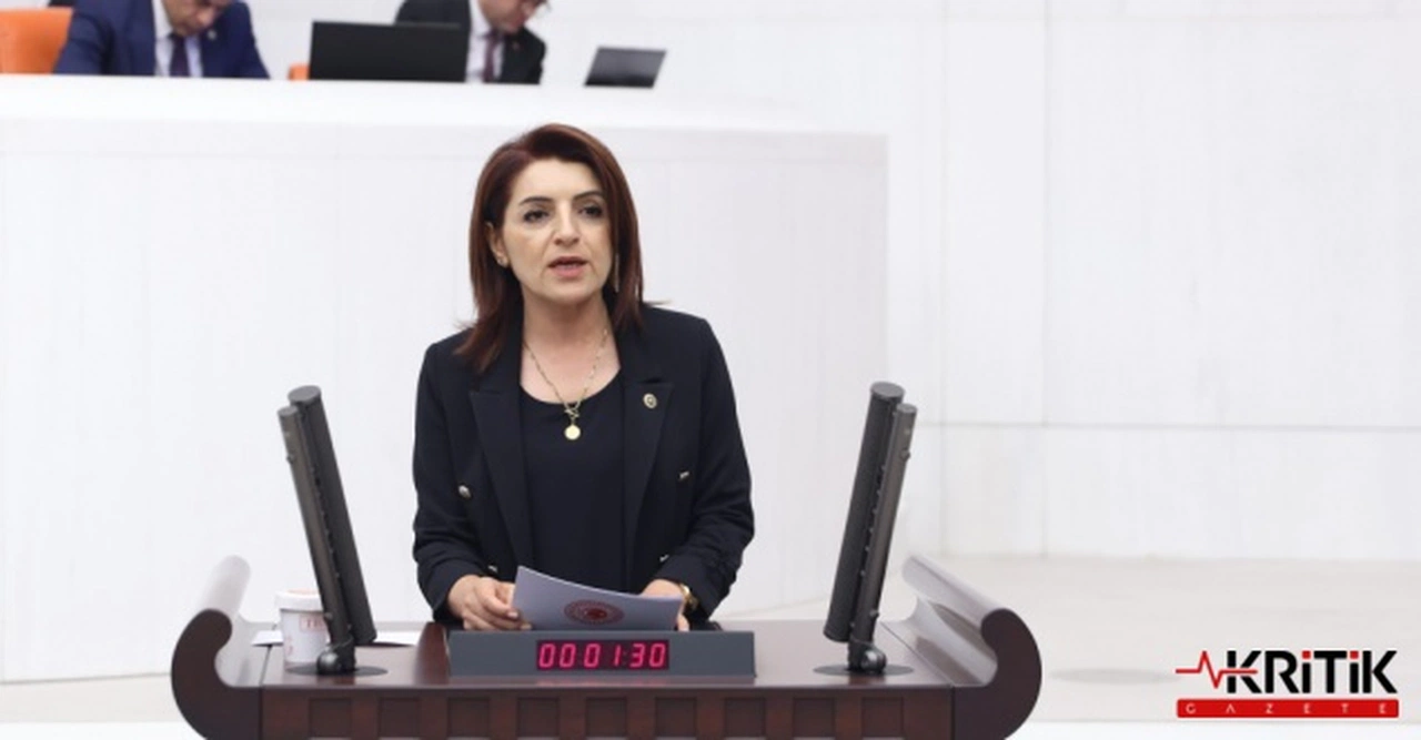 CHP'li Kış'tan kayyum tepkisi:Halkın iradesine, masumiyet karinesine ve adalete darbedir