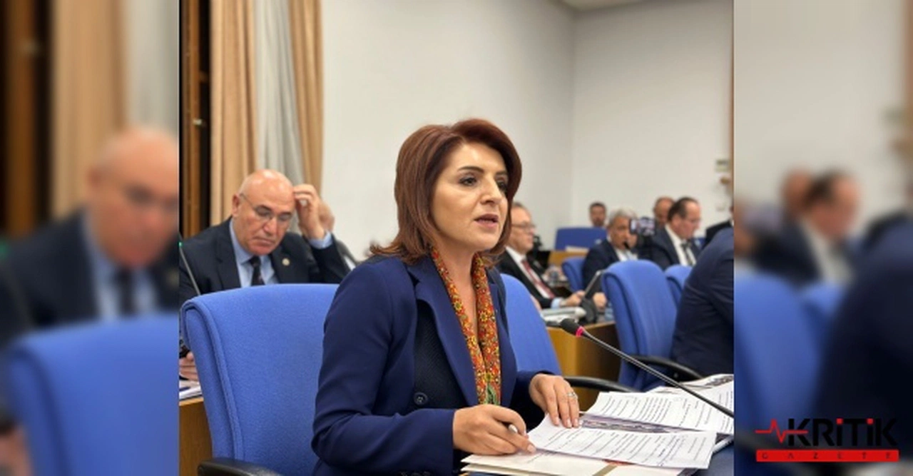 CHP'Lİ KIŞ:ÇUKUROVA HAVALİMANI’NA MERSİN NEDEN DAHİL EDİLMİYOR?