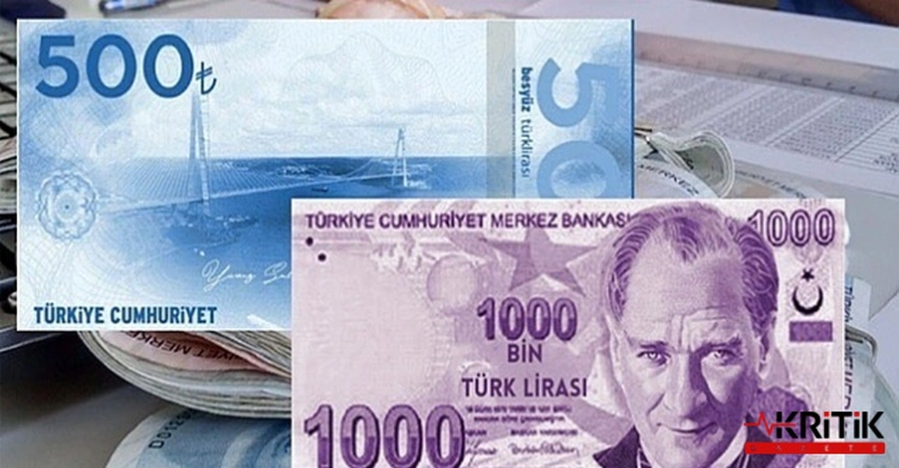 DEVA Partili Cem Avşar'dan 500 ve 1000 TL'lik banknotlar tedavüle verilsin teklifi