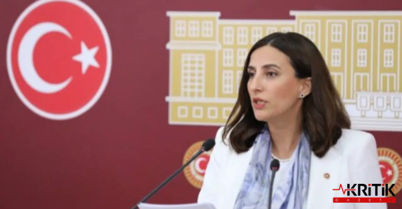 DEVA Partili Evrim Rızvanoğlu, Kazdağları’nı Bakana hatırlattı!