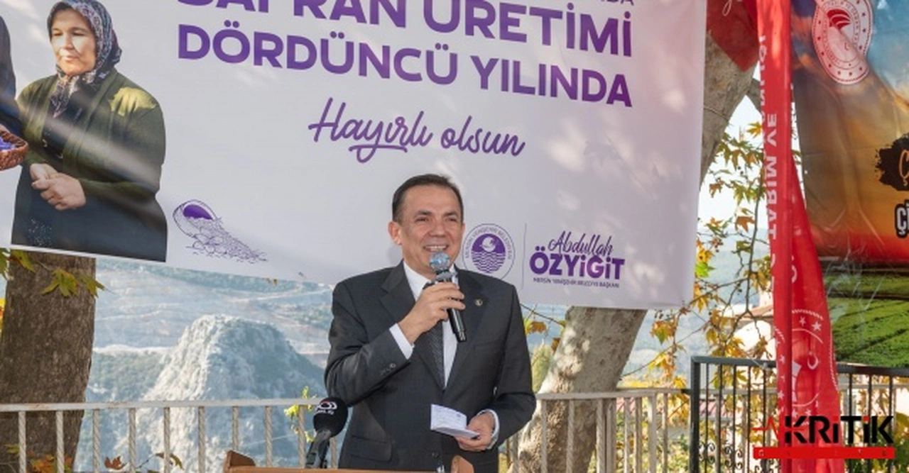 Mersin Yenişehir Belediye Başkanı Abdullah Özyiğit, Safran üreticilerine desteğe devam ediyor