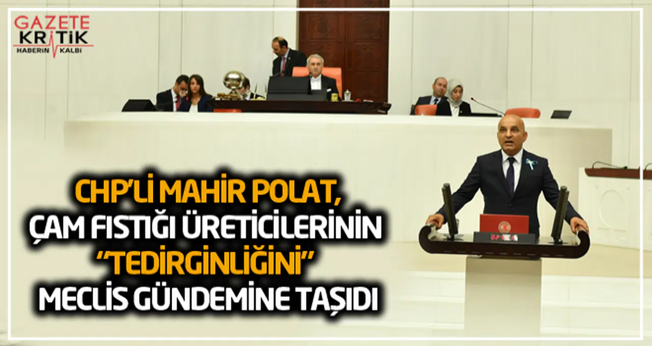 CHP'Lİ MAHİR POLAT,ÇAM FISTIĞI ÜRETİCİLERİNİN 'TEDİRGİNLİĞİNİ' MECLİS GÜNDEMİNE TAŞIDI