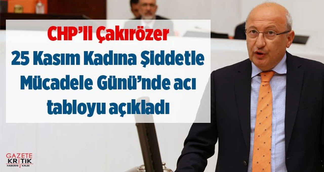 CHP'li Çakırözer 25 Kasım Kadına Şiddetle Mücadele Günü'nde acı tabloyu açıkladı