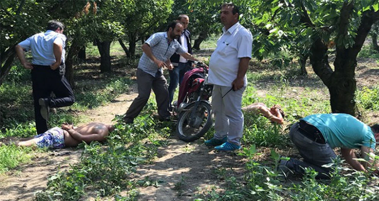 Uyuşturucu satıcıları zeytinlikte yakalandı
