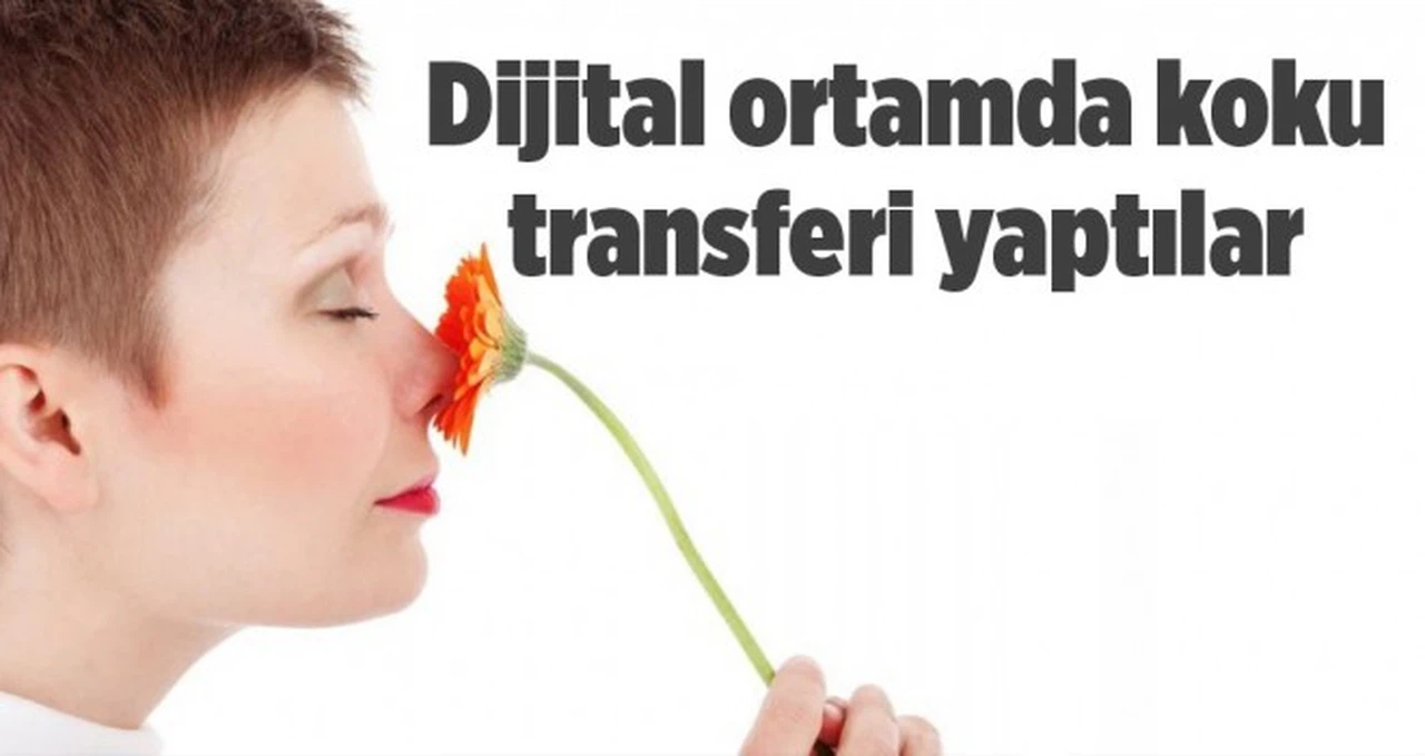 Dijital ortamda koku transferi yaptılar