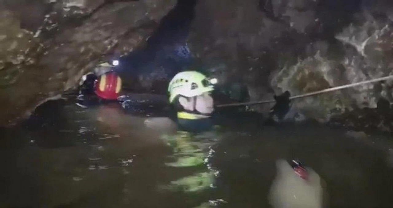 Bütün dünya Tayland'dan iyi haber bekliyor