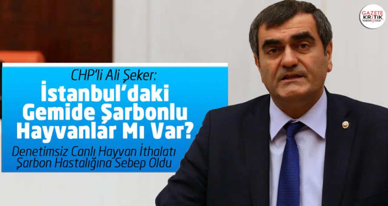 İstanbul'daki Gemide Şarbonlu Hayvanlar Mı Var?