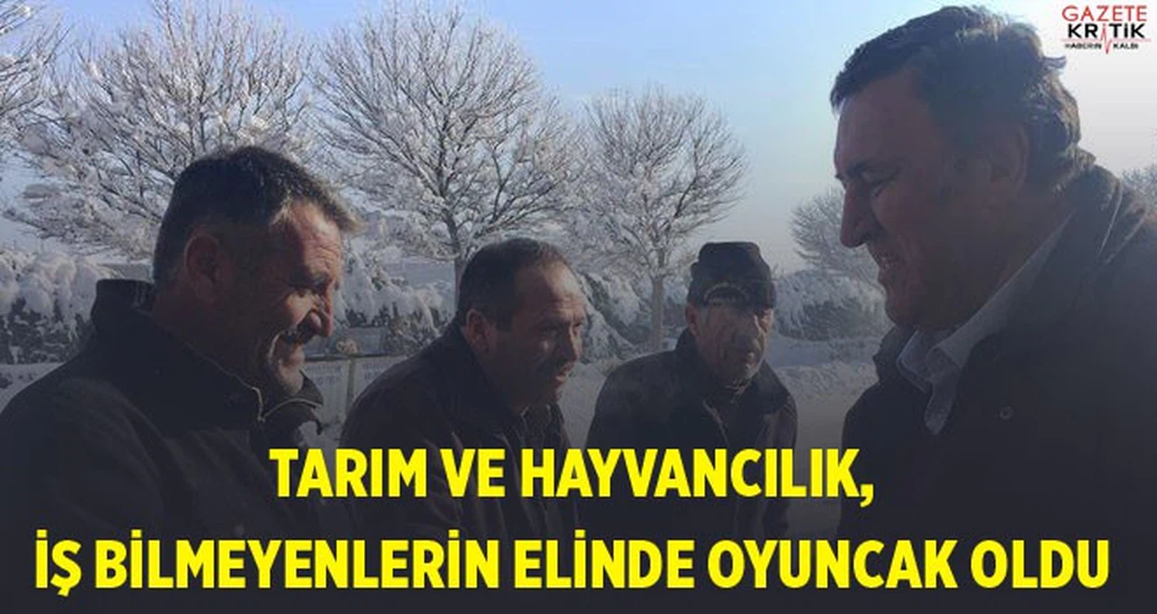 Gürer: Tarım ve hayvancılık, iş bilmeyenlerin elinde oyuncak oldu
