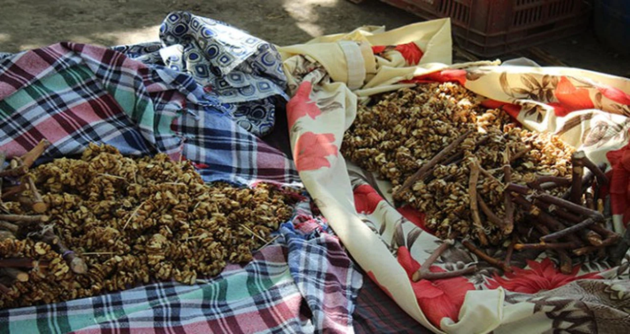 Ermenek'te 'bandırma' geleneği sürüyor