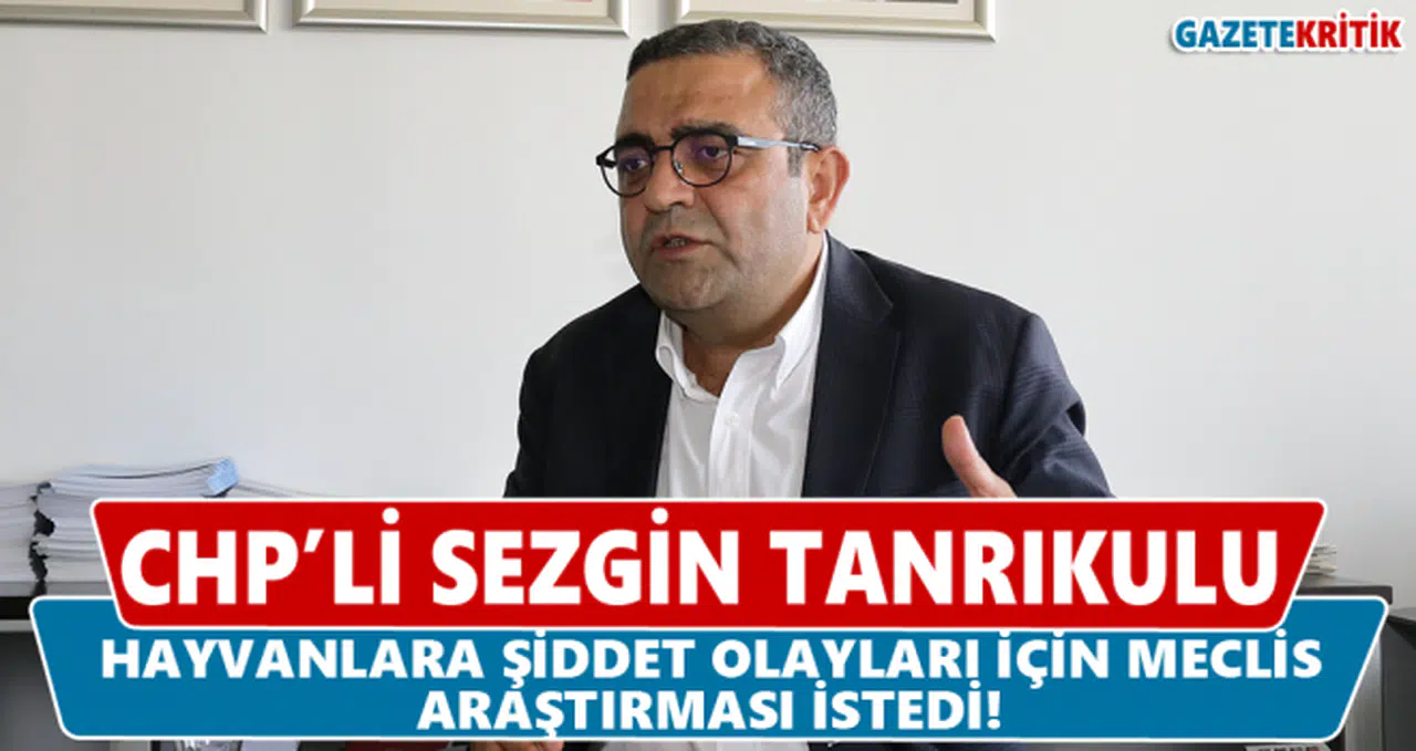 CHP'li Tanrıkulu Hayvanlara Şiddet Olayları İçin Meclis Araştırması İstedi!