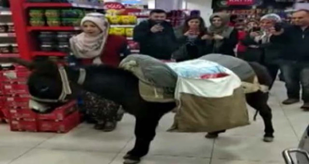 Ülkeden insan manzaraları:Poşet parası vermemek için markete eşekle geldi