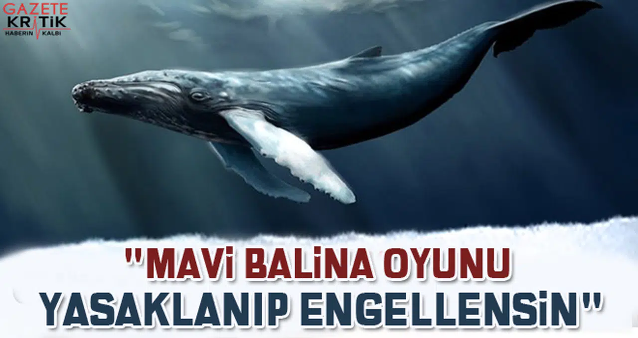 CHP'li Ayhan Barut: 'Mavi Balina oyunu yasaklanıp engellensin'