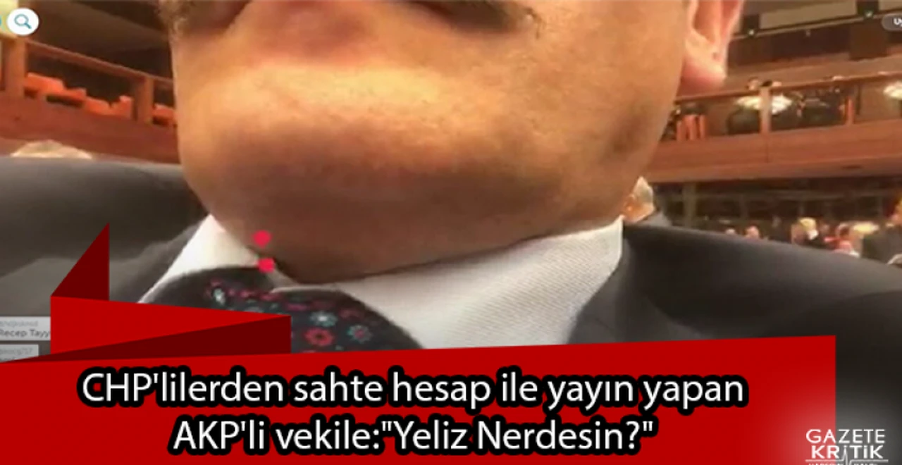 CHP'lilerden sahte hesap ile yayın yapan AKP'li vekile:'Yeliz Nerdesin?'