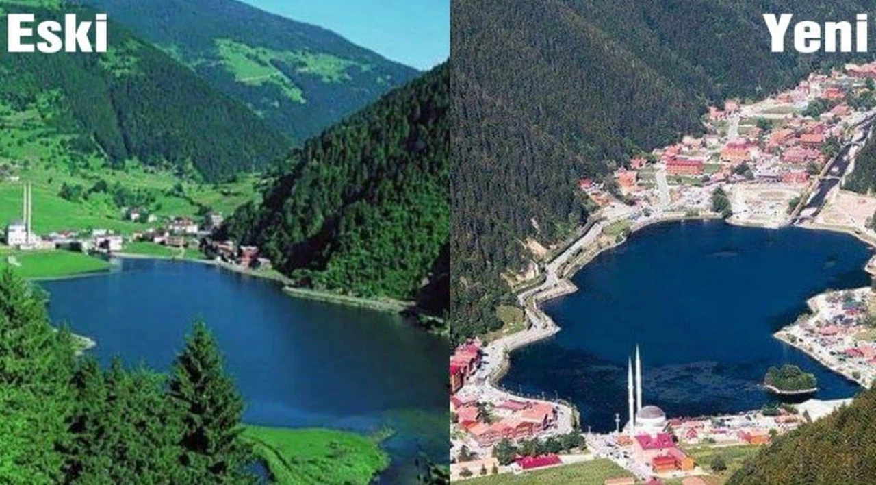 'Doğa harikası olan Uzungöl, şimdi havuzlu siteye döndü!'