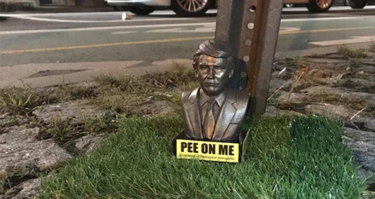 Şehrin dört bir yanına yerleştirildi: Trump'ın üzerine işeyin