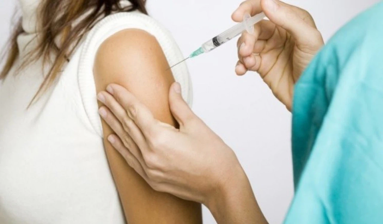 Sivrisinek aşısı için gönüllüler aranıyor