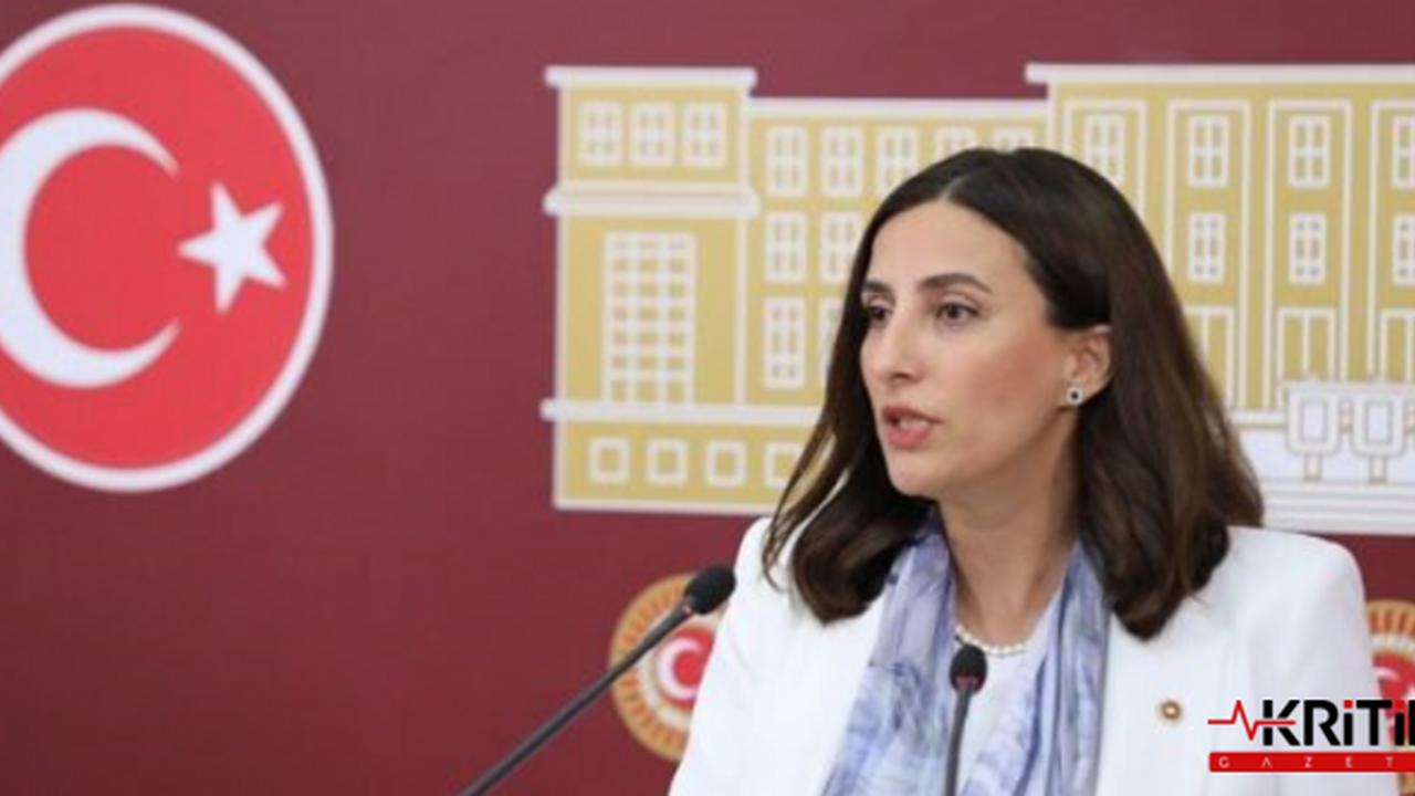 DEVA Partili Evrim Rızvanoğlu:HES projesi ile ekosistem ve tarihi doku ...
