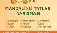 Bodrum Mandalin Festivali 21 Aralık'ta Bitez'de Renkli Etkinliklerle Kapılarını Açıyor!