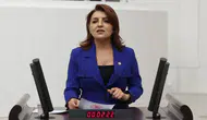CHP'li Gülcan Kış: 2025 bütçesi borçlanma talimatıdır, halkın geleceği bankaların elinde!
