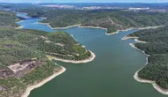 Pendik Ömerli Barajı’nda son durum: Yağış sonrası doluluk oranı yüzde 49,91 oldu