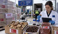 Türkiye'nin gıda ürünleri AB'de reddediliyor: Okratoksin A bildirimi alarm veriyor!