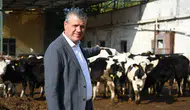 Hayvancılıkta Kriz: İktidarın İthalat Planına YENİ Parti'den Sert Tepki Geldi