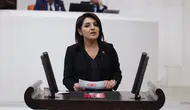CHP'li Gülcan Kış, yatırım fonlarındaki likidite krizini Meclis gündemine taşıdı
