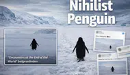 Nihilist Penguen nedir? Sosyal medyayı sallayan o görüntünün gerçek hikayesi