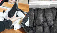 Kayseri Havalimanı'nda Şaşırtan Kaçakçılık Girişimi! 25 Bin Canlı Sülük Ele Geçirildi