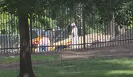 ABD'de Valilik Konutunda 7 Ceset Bulundu! Kazı Çalışmalarında Ortaya Çıkan Gerçek Şaşırttı