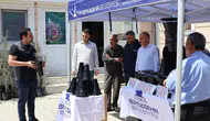 İzmir’de kahverengi kokarca alarmı: Çiftçiye feromon tuzağı desteği başladı