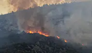 Antalya'da Alevlerle Amansız Mücadele: Kaş Yangınında Son Durum!