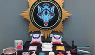 Tek Seferde En Yüksek Miktar! 307 Kilo Uyuşturucu Üretilecek Hammadde Yakalandı