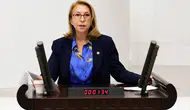 Yeni Parti’de çerçeve yasa çatlağı: Süreyya Öneş Derici “Hayır” diyecek!