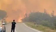 Susurluk'ta Orman Yangını Büyüyor! Belediye Başkanı Canlı Yayında Yaralandı