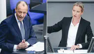 Almanya'da aşırı sağ partiden Euro ve Schengen çıkışı: Sınırları kapatacağız
