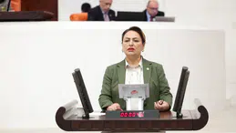 CHP, engelli bakımı için sosyal destek talepleri Meclis'e taşıdı