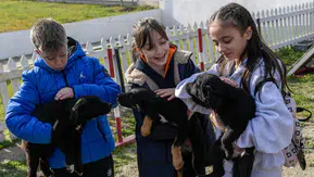 İzmir’den anlamlı çağrı: Bakımevlerinde 2 bin 300 can dost sıcak yuva bekliyor