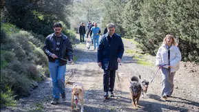 İzmir'de hayvan refahı için büyük adımlar: On binlerce hayvana sağlık hizmeti sağlandı