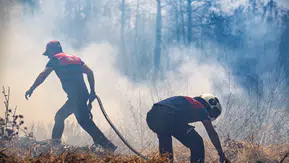 İzmir’de orman yangını sezonu hazırlığı: 30 ilçe belediyesiyle ortak toplantı yapıldı