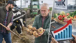 TÜİK Ocak Verilerini Açıkladı: Tarım ÜFE Yıllık Yüzde 43,58 Arttı