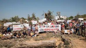 CHP'li Mahmut Tanal: Zeytin Dalı Kesilmesi Geleceği Yok Eder
