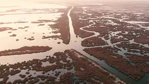 İzmir Körfezi’nde deniz marulu alarmı: Uzmanlara göre kalıcı çözüm Gediz Havzası’nda