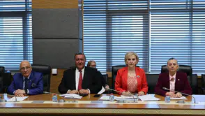 CHP’li Nimet Özdemir’den komisyonda sert çıkış: “Suçlu hayvanlar değil, ihmaldir”