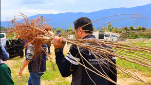 İzmir Büyükşehir’den Beydağlı üreticiye çifte destek: İpekböcekçiliği ve kestane üretimi için yeni adım